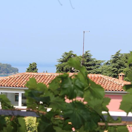 Apartments Horizont 로비니 외부 사진